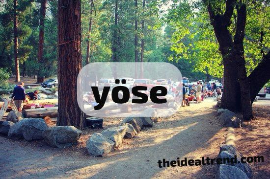 The World of Yöse: Exploring Its Cultural and Practical Significance